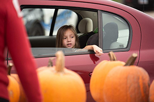Fall Fest Event