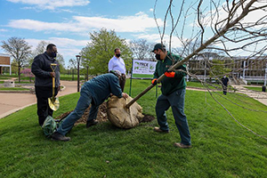 Arbor Day - 1