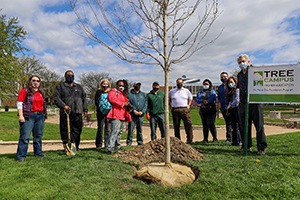 Arbor Day - 2