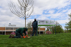 Arbor Day - 3