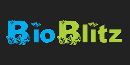BioBlitz: Celebrate Arbor Day